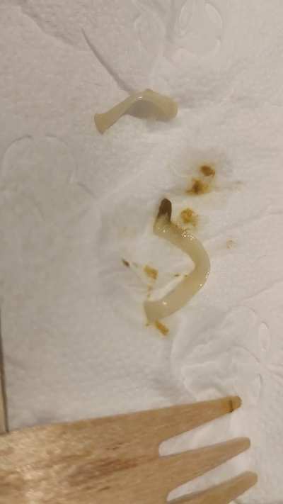 What is this?🤣😅