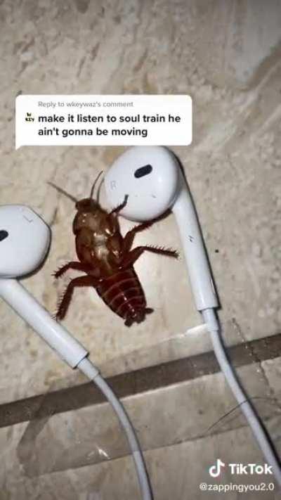 this cannot be legal 💀