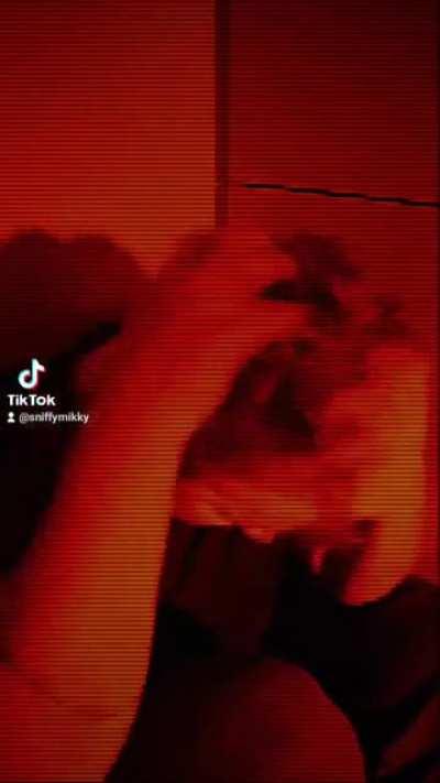 scratchy scratchy :) (OC)