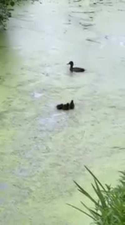 Playing hide and seek