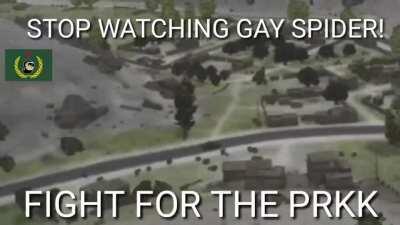 Were still alive and kicking