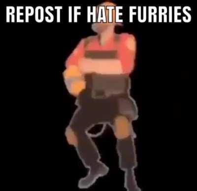 I AM A PROFESSIONAL FURRIES HATER