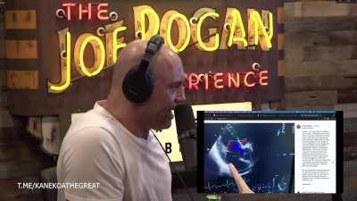 Florian Dagoury - the world's top static breath-hold freediver who held his breath for 10:30 was diagnosed with myocarditis after his Pfizer mRNA shot. His resting heart rate doubled, and his diving performance decreased by 30%.