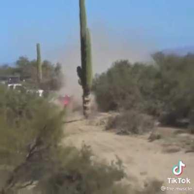 That's going to hurt in the morning