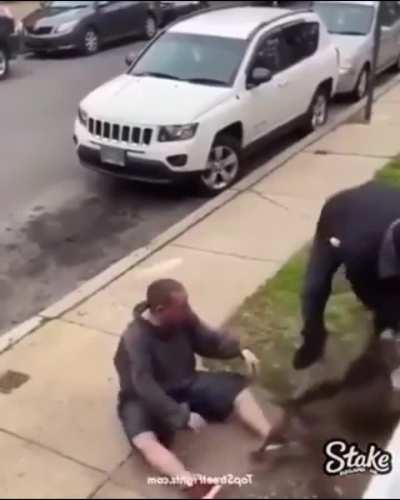 Man beats doggo owner for attacking his doggy
