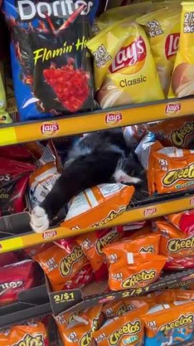 well that seems like a refreshing place to take a nap honestly.