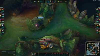 Here's why walking back and forth in bushes is a really good habit