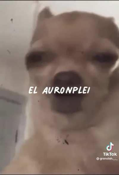 Deja en que pensar...