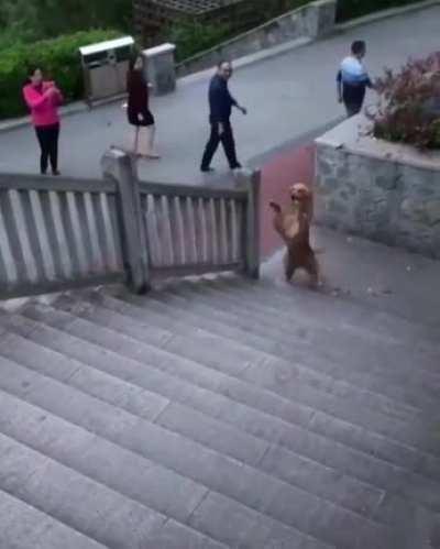 Now, Where's my treat...