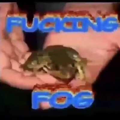 Animales dela Doomergang