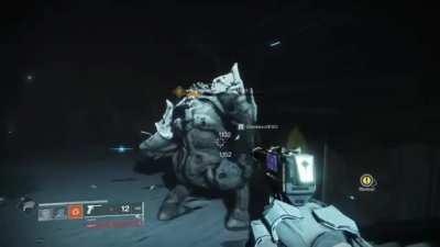 Um... menagerie moment