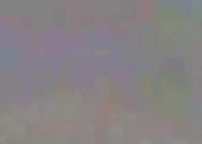 Footage of Carti attempting to get into the arena