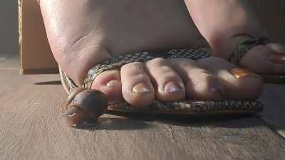 Exquisite snail crush pt. 3 (slo mo / the devil is in the details)