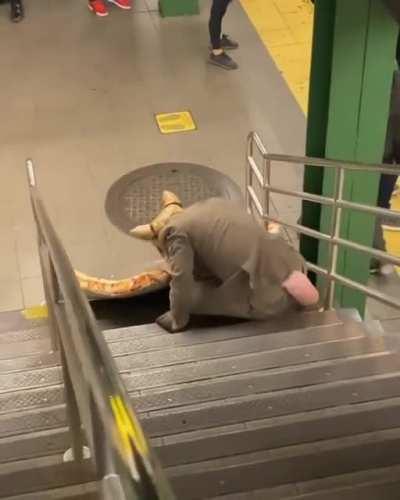 Which one of you was this