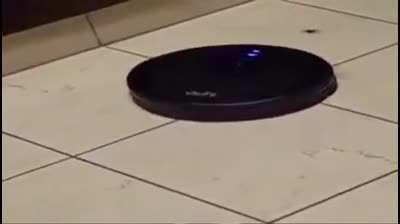 Bom dia/boa tarde/boa noite