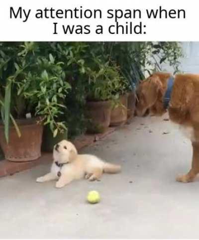 Except this stays for the rest of your life