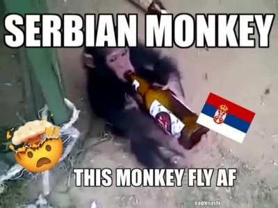 serbian monkey