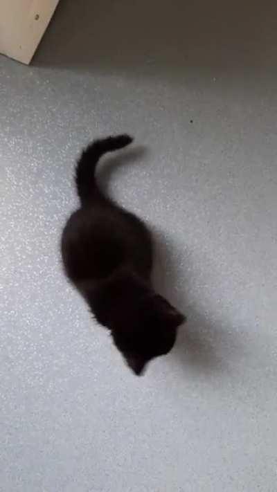 Very opinionated little void.