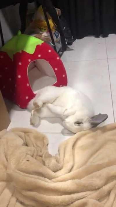 I love her cute flops ❤️