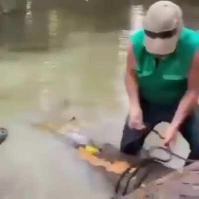 totally forbidden but did it anyway