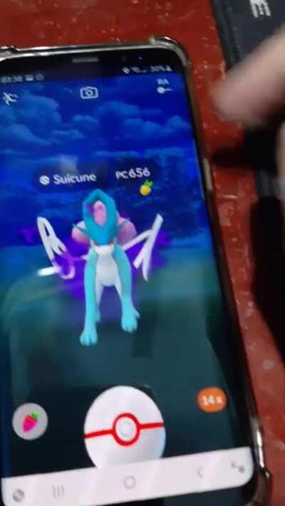 Bug: Can't throw the pokeball at catch screen after giving a fruit, but the other buttons still work (and it also occurred during shadow suicune, making me lose him)