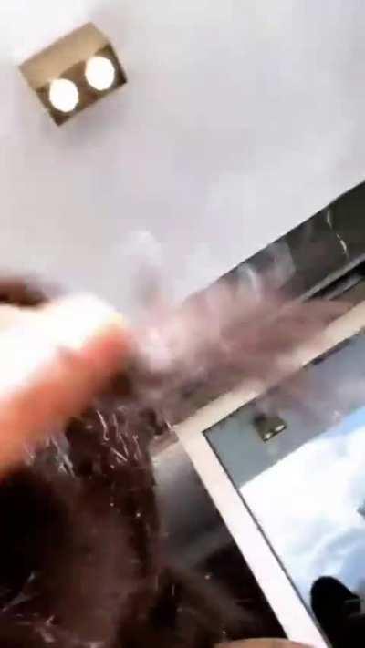 Back when she was like 30 lbs lighter