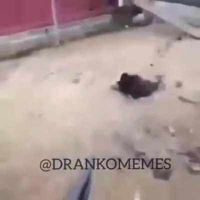 Luangameplay666 - Video #7294