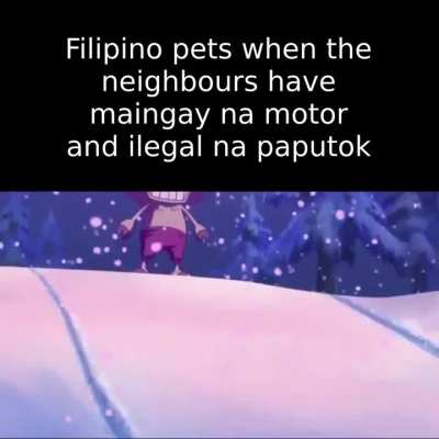 Hindi na sila naawa sa Guinea pigs ko😡