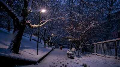 Calming Snowy Night