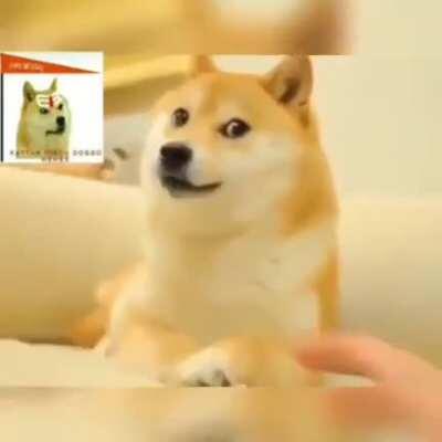 Batao beta kahan janme hain?