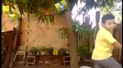 O tigre e o maior felino e na caça ele é implacável