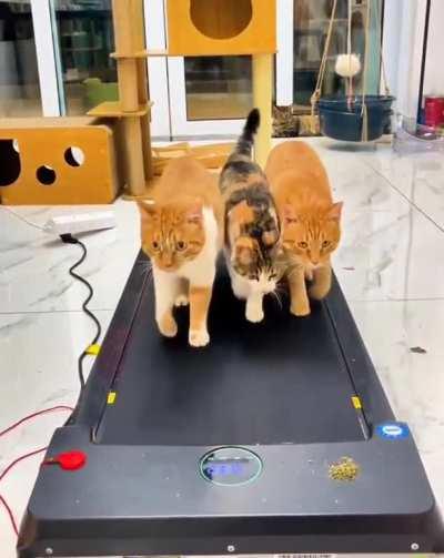 Ð¤Ð¸ÑÐ½ÐµÑ