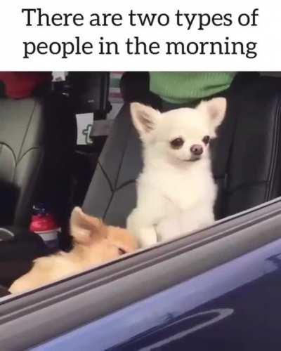 There are two types...