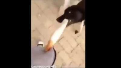 Helvetica_Standard_irl