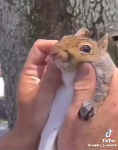 why is he making love to this ugly fucking cunt