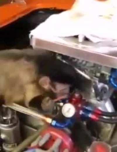 Not easy making a living these days, you know