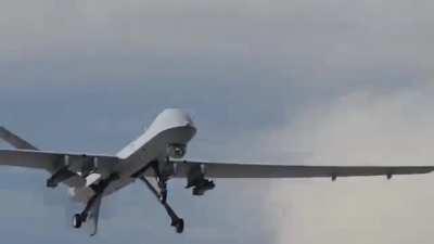 How to deal with Wagner simps: Khasham style