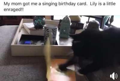 Catslaps at its finest.