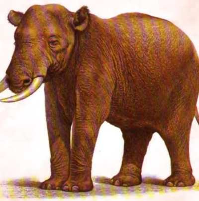 Goofy ahh Plateosaurus