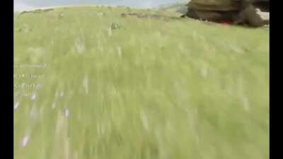 Video taken from 4chan leak, could be map testing of Elder Scrolls 6