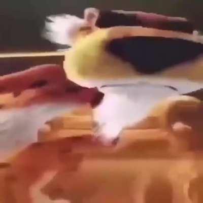 this will be sans in 2018