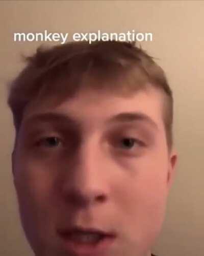 How Communism works, Monkey explanation
