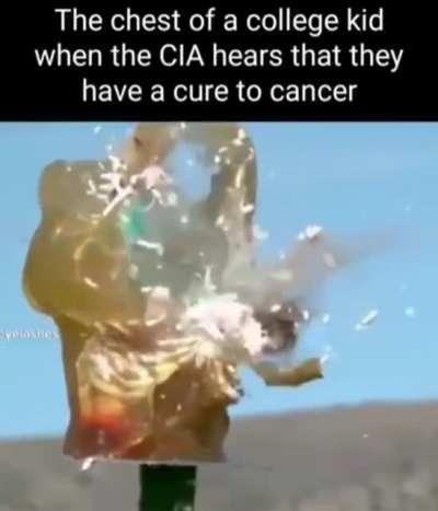 cheap insulin be like