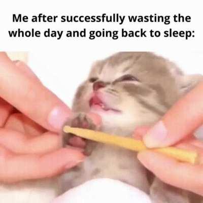 Finally I can go back to sleep