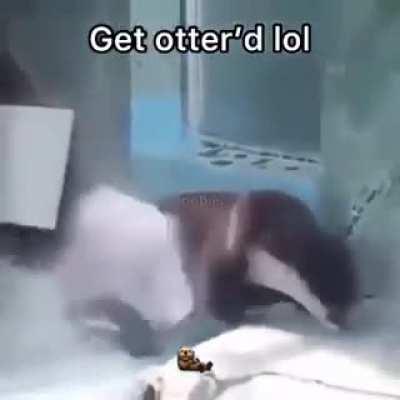 sigh... f this subreddit. Guess I'll post my most recent video, volume warning