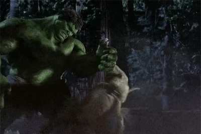 REMEMBER THE TIME HULK PUNCHED A DOG IN THE NUTS CAW CAW