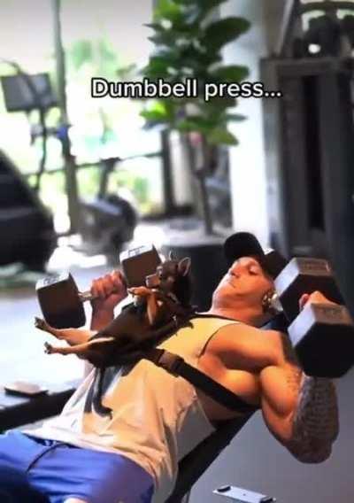 Man took his doggo to the gym ............