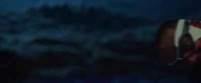 Spider V Falcon: No Way, Holland