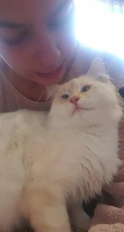 Obviously nobody but him is deserving of my attention 🤦🏽‍♀️