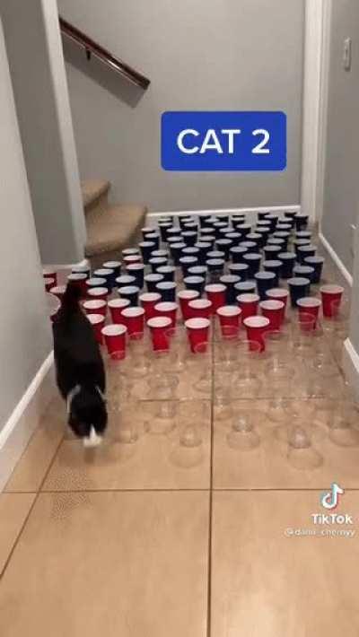 The test output after you overfit the training data…